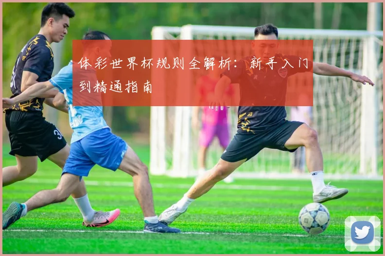 体彩世界杯规则全解析：新手入门到精通指南