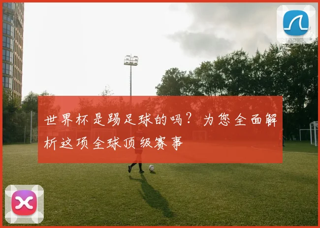 世界杯是踢足球的吗？为您全面解析这项全球顶级赛事