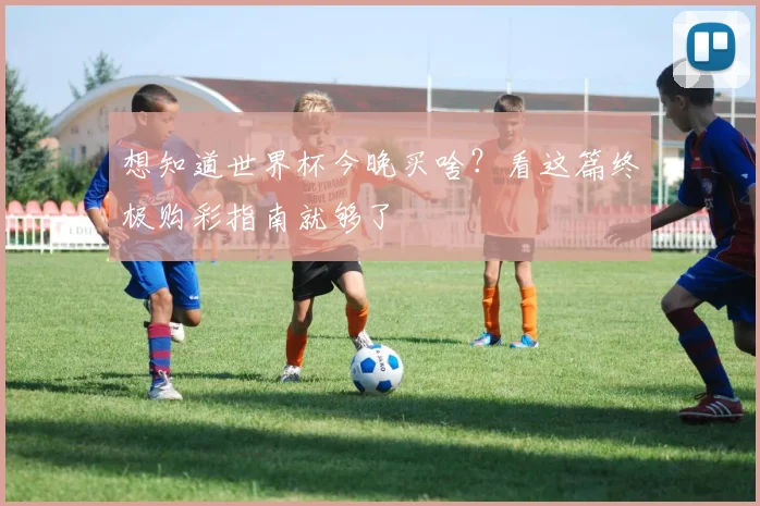 想知道世界杯今晚买啥?看这篇终极购彩指南就够了
