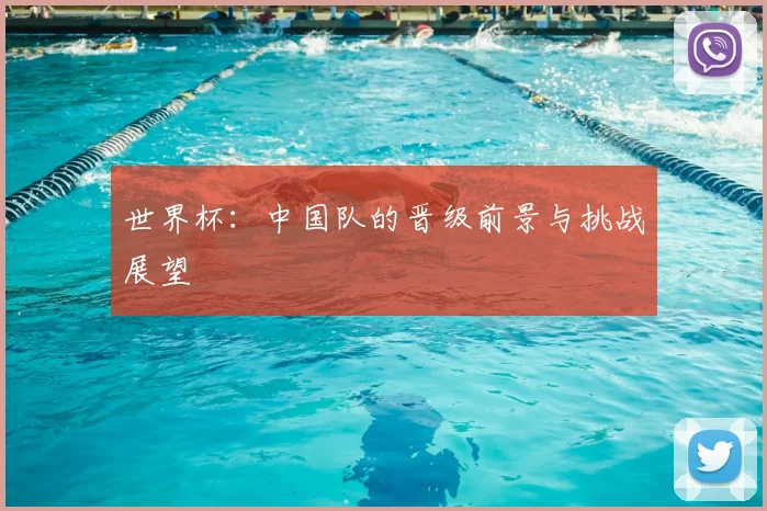 世界杯：中国队的晋级前景与挑战展望