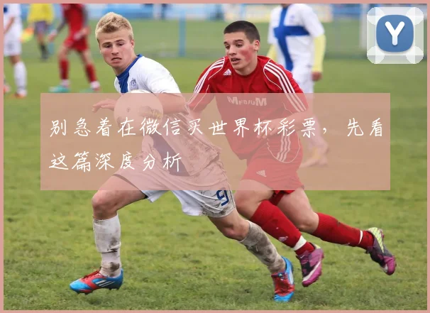 别急着在微信买世界杯彩票，先看这篇深度分析